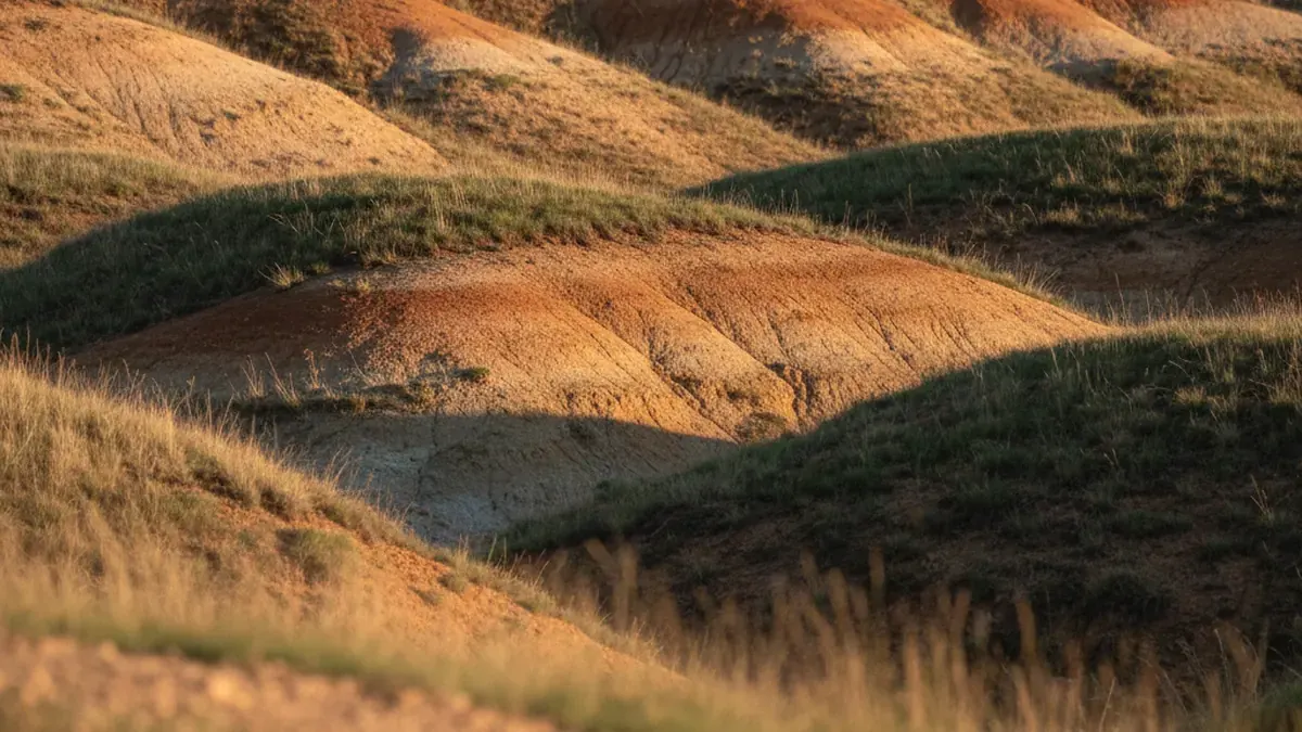 Earth energy calming cues illustration